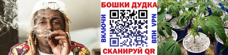 Конопля индика  Смоленск 